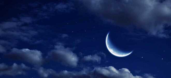 Молодика в 2020 році: коли буде, дата