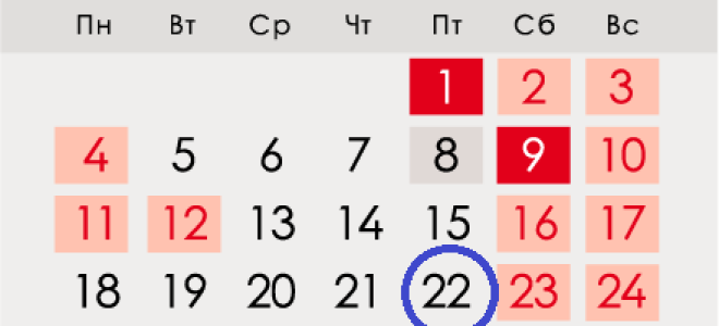 Нікола Літній у 2020 році | якого числа, дата