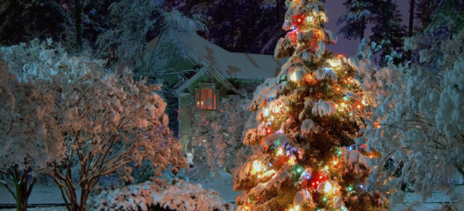 Новий 2019 рік у Ленінградській області | новорічні канікули, відпочинок