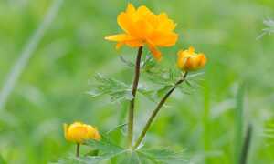 Жартівливі Вітання З Врученням прикольні подарунки