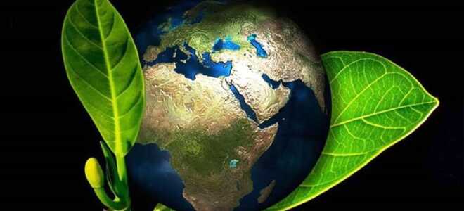 Година Землі в 2019 році: якого числа, дата