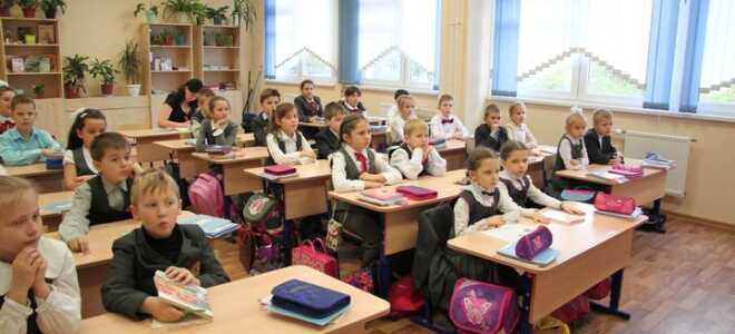 Шкільні програми для початкових класів в 2019-2020 році | навчальні, які