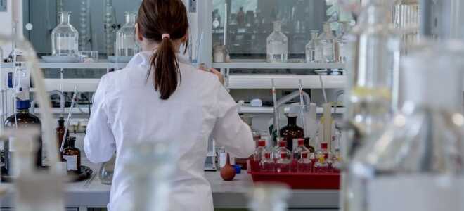 Всі конкурси та гранти Росії в 2018-2019 році