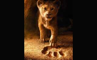 Король Лев (Lion King) фільм 2019 | трейлер, дата, актори