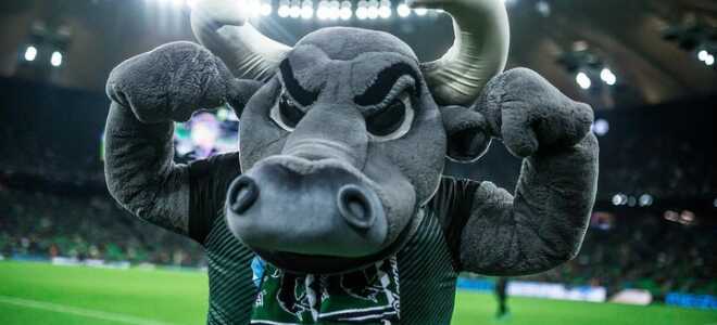 Ігри ФК Краснодар в 2018-2019 році: календар, розклад матчів