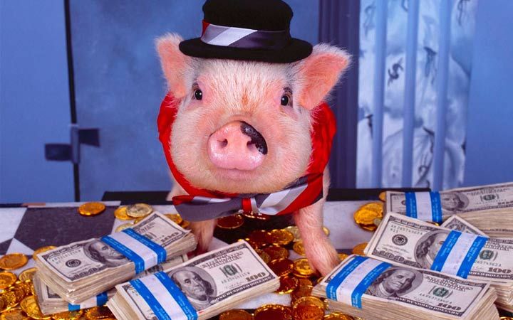 Фінанси в рік свині