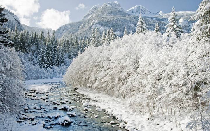 Сніжна зима в Краснодарі