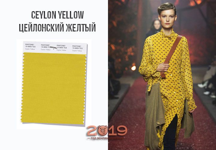 Ceylon Yellow осінь-зима 2018-2019