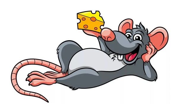 Смішна мишка з сиром